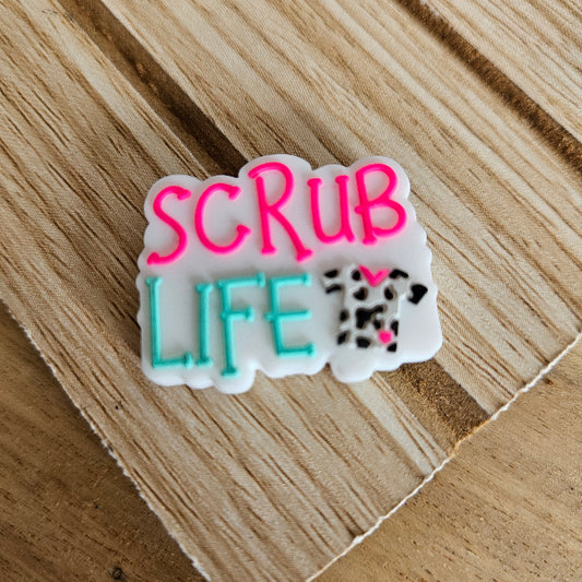 Silicone focal bead, scrub llife multi colored